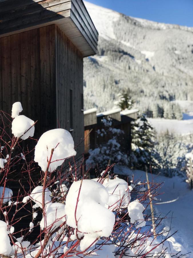 Chalet Sternwarte Hohentauern Exteriér fotografie